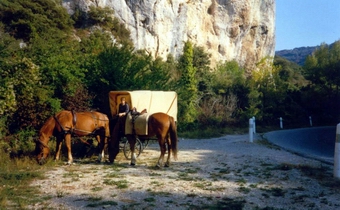 im Luberon